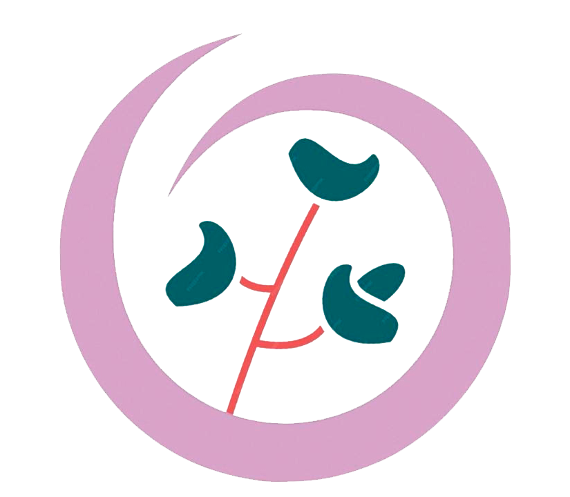 Pan de Luna
